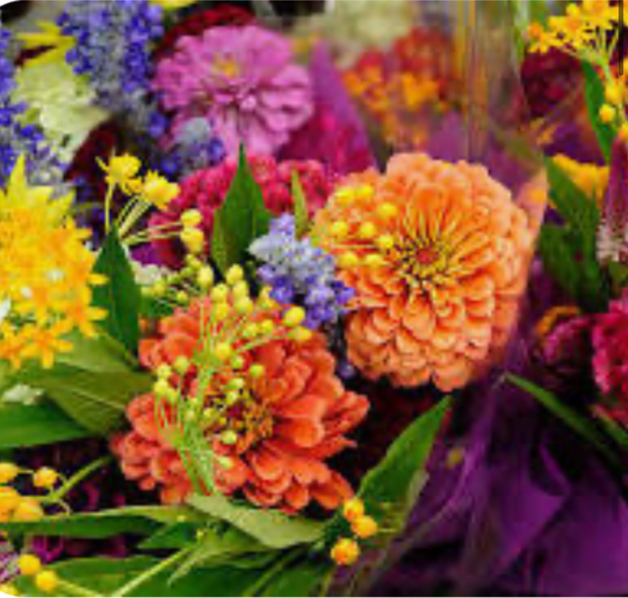 Cover for Lesia Timmons's Obituary