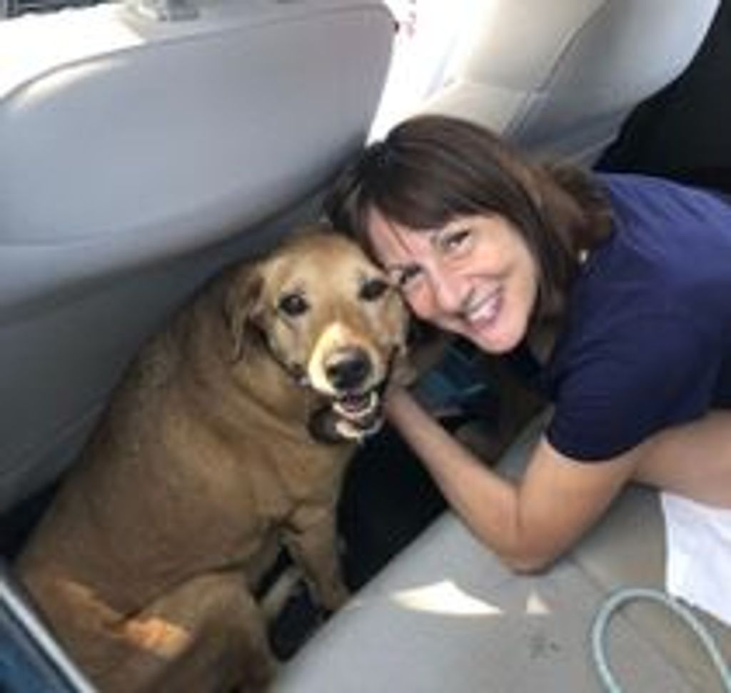 Tracey Rizzo Pappalardo Profile Photo