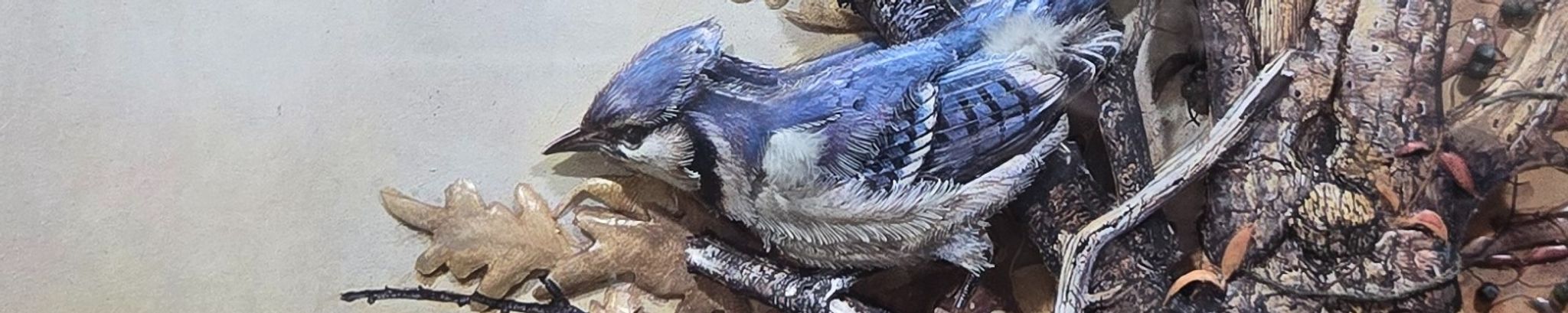 Cover for Sandra Domagala's Obituary