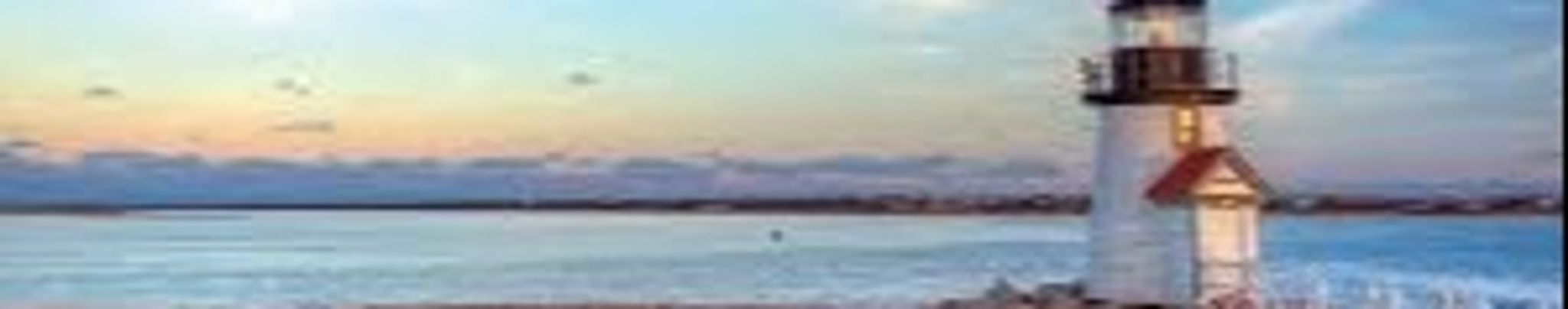 Cover for Ann Carol Palmenberg, Ph.D's Obituary