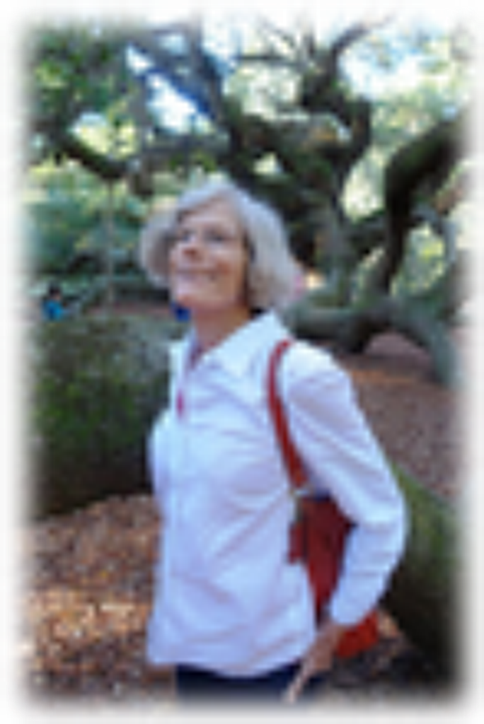 Jill Amy Zarchin