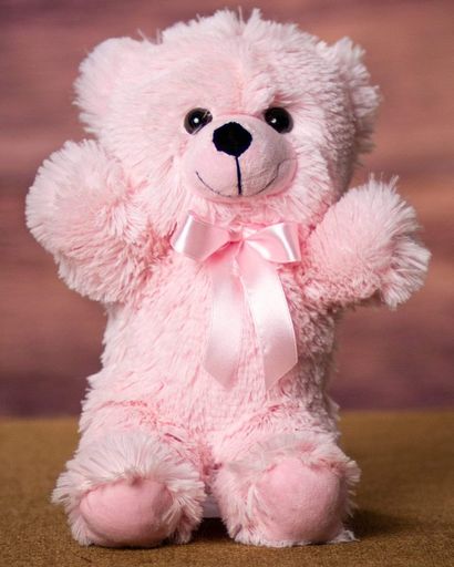 Sadie Marie Annie James's obituary image