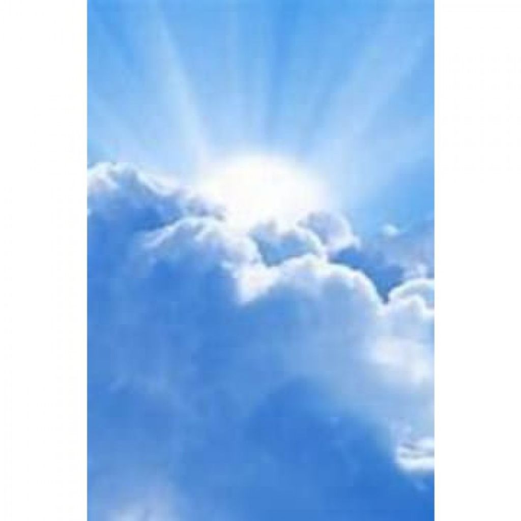 Eliezer Rivera Irizarry Profile Photo