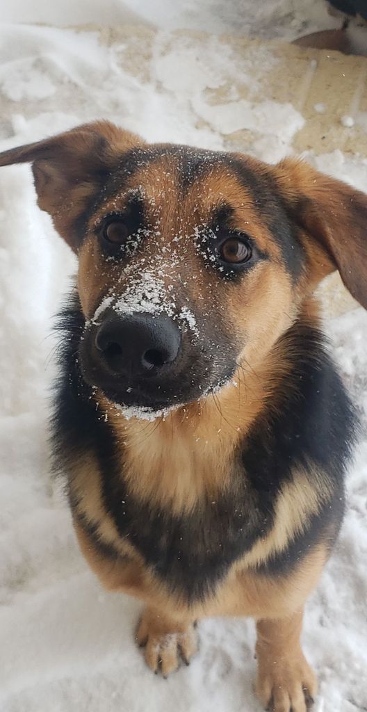 Bailey Scott Profile Photo