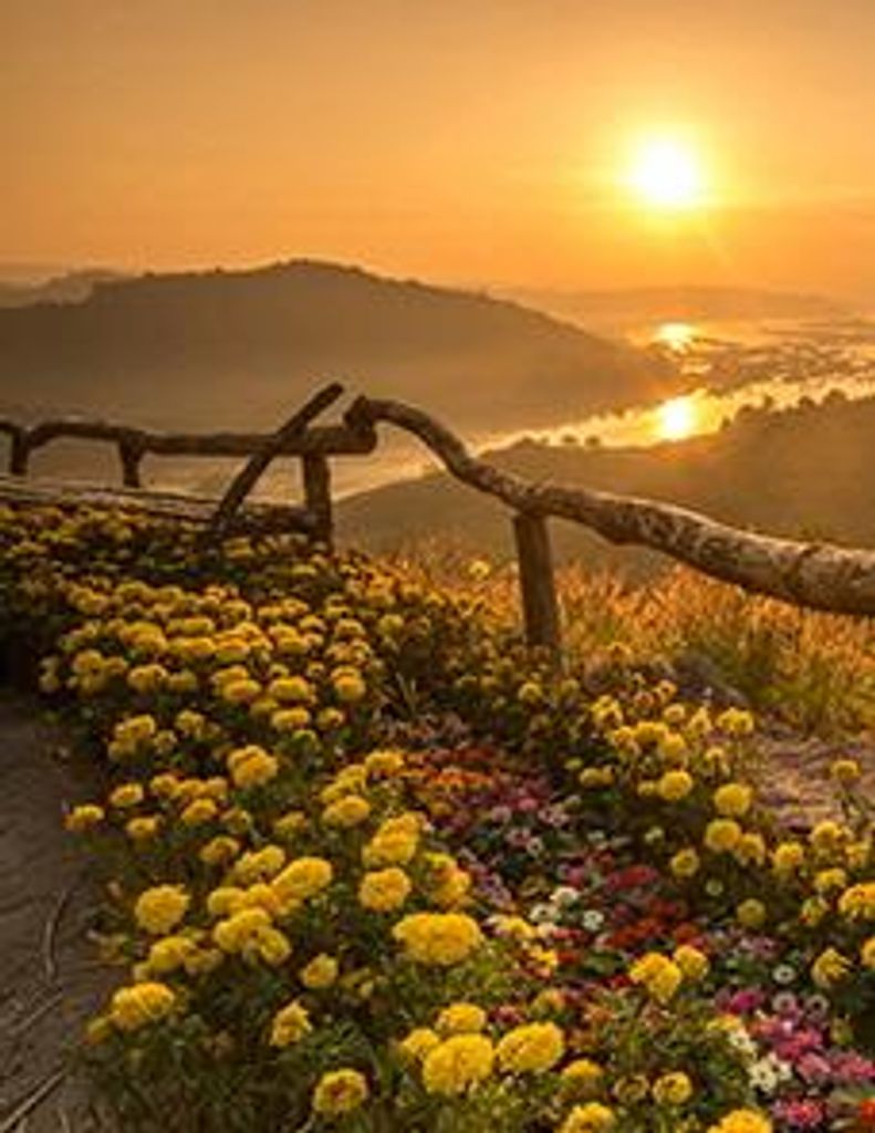 Lucio Rivera Rojas Profile Photo