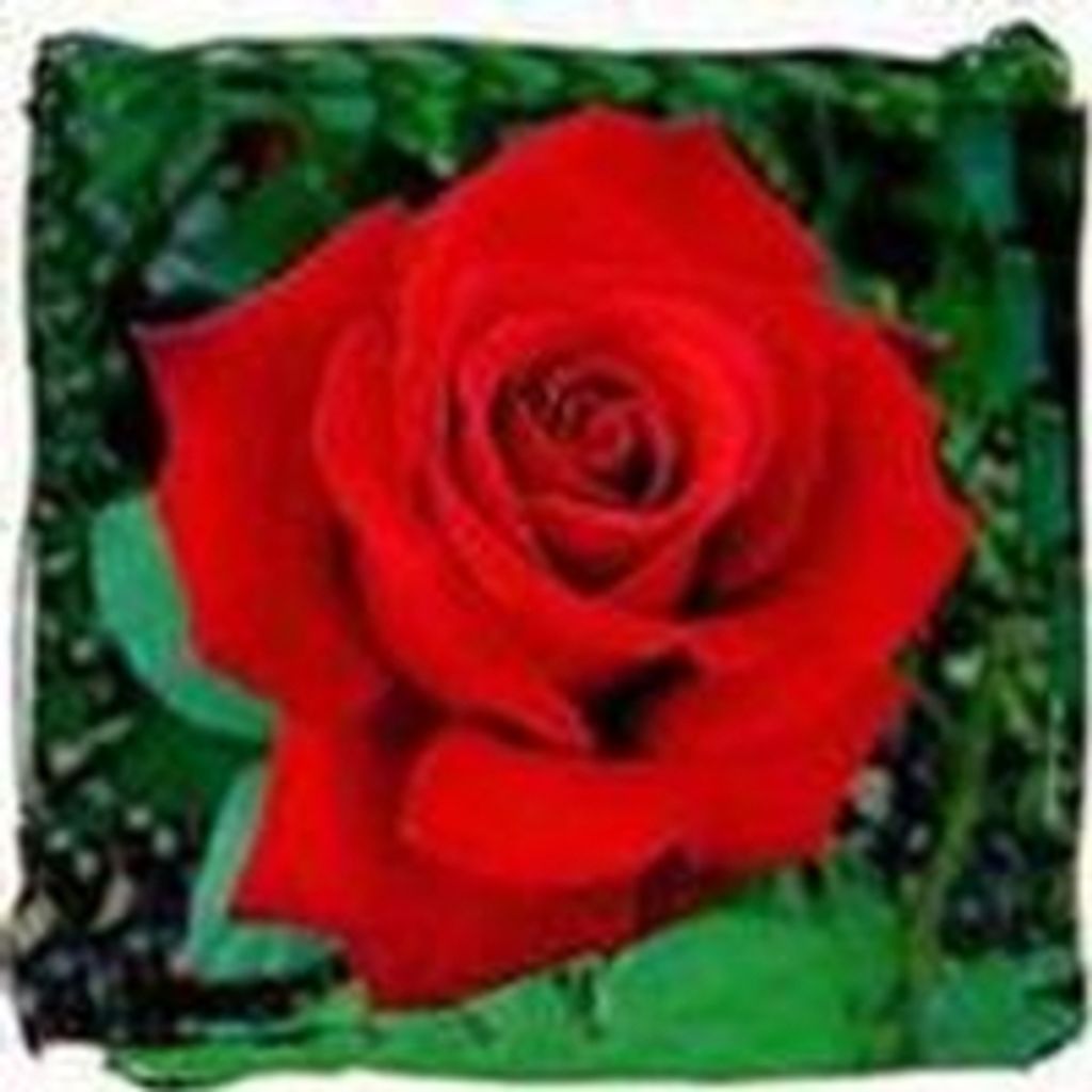 Patricia B. Kirkeminde