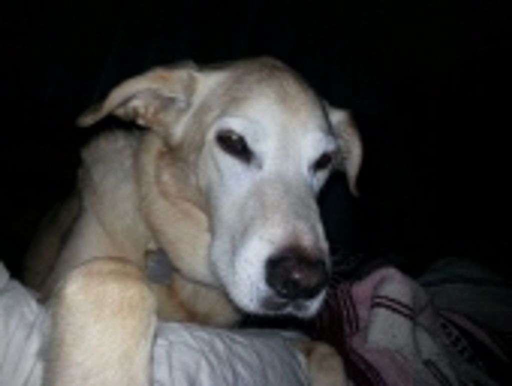 Bishop Ryan Profile Photo