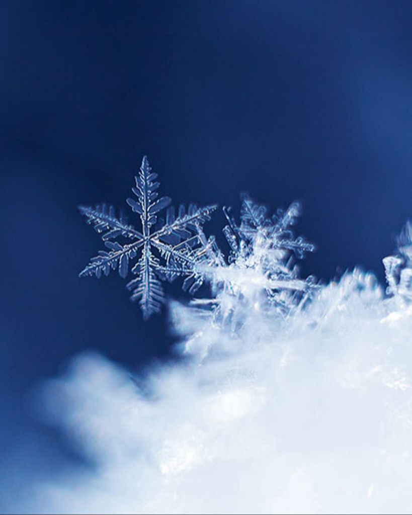 Marsha Osborne Testerman Profile Photo