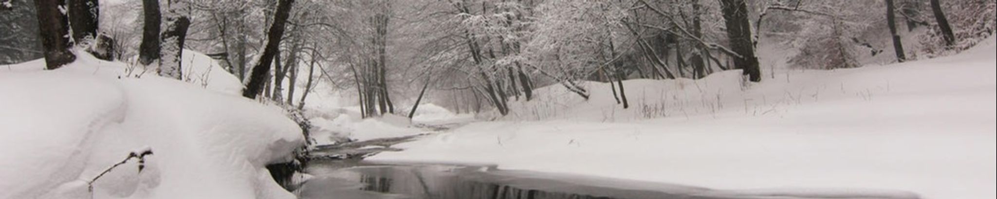 Cover photo for Julie Bernice Campbell's Obituary