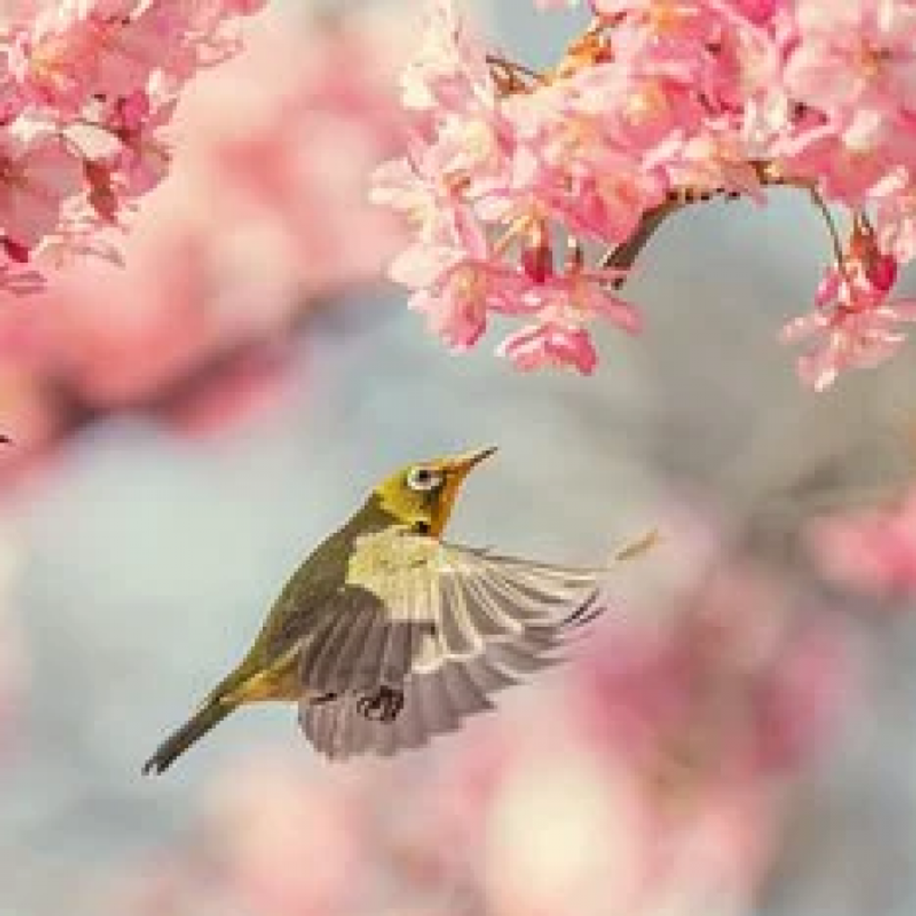 Cathy Mae Loraw Bartholomee Profile Photo