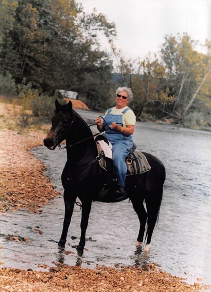 Lori L. Harris Profile Photo