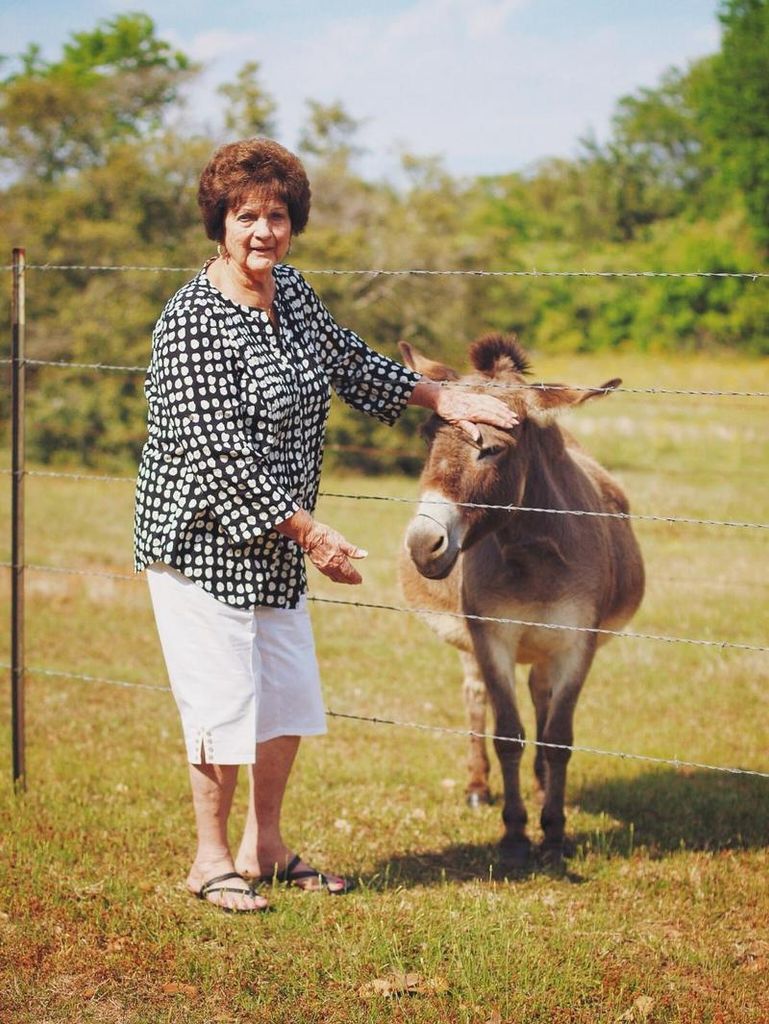 Frances Steakley Profile Photo