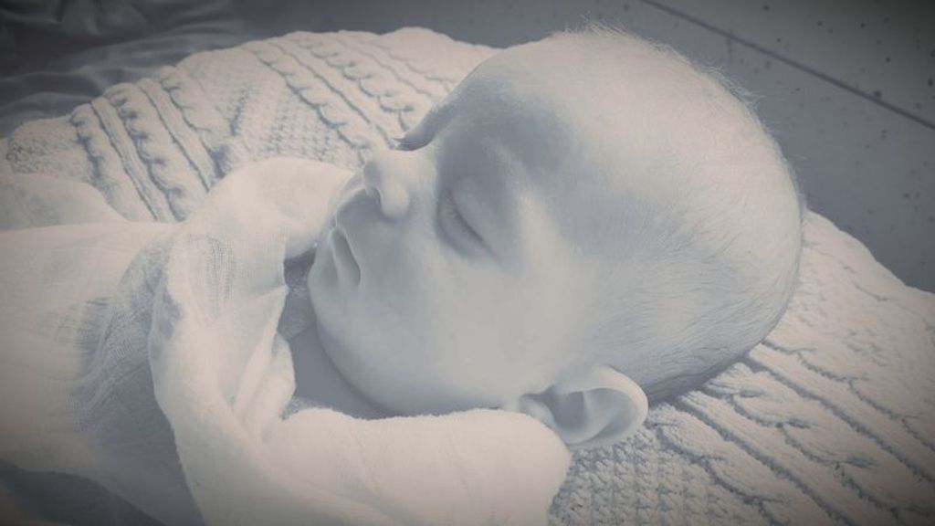 Alexander Robert Stone