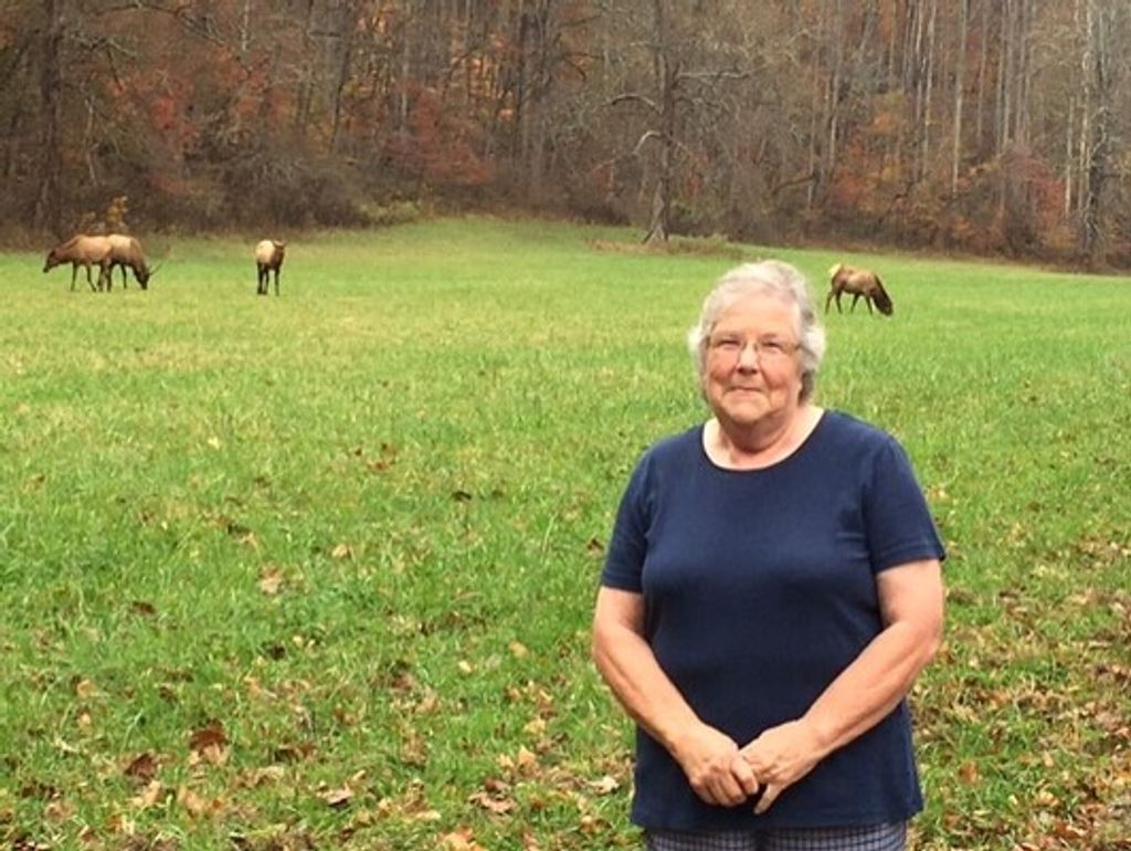 Rachel Adams Buckner