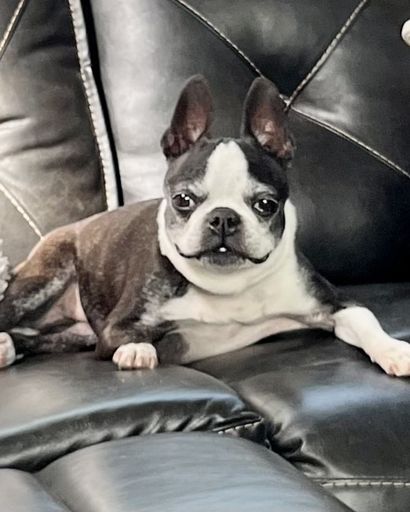 Isabella's obituary image