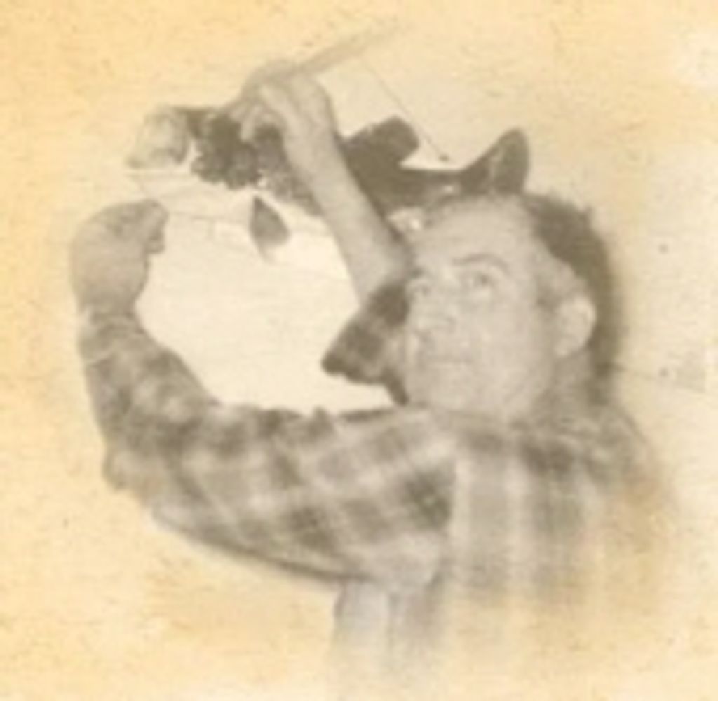 Julius Larson Sr.