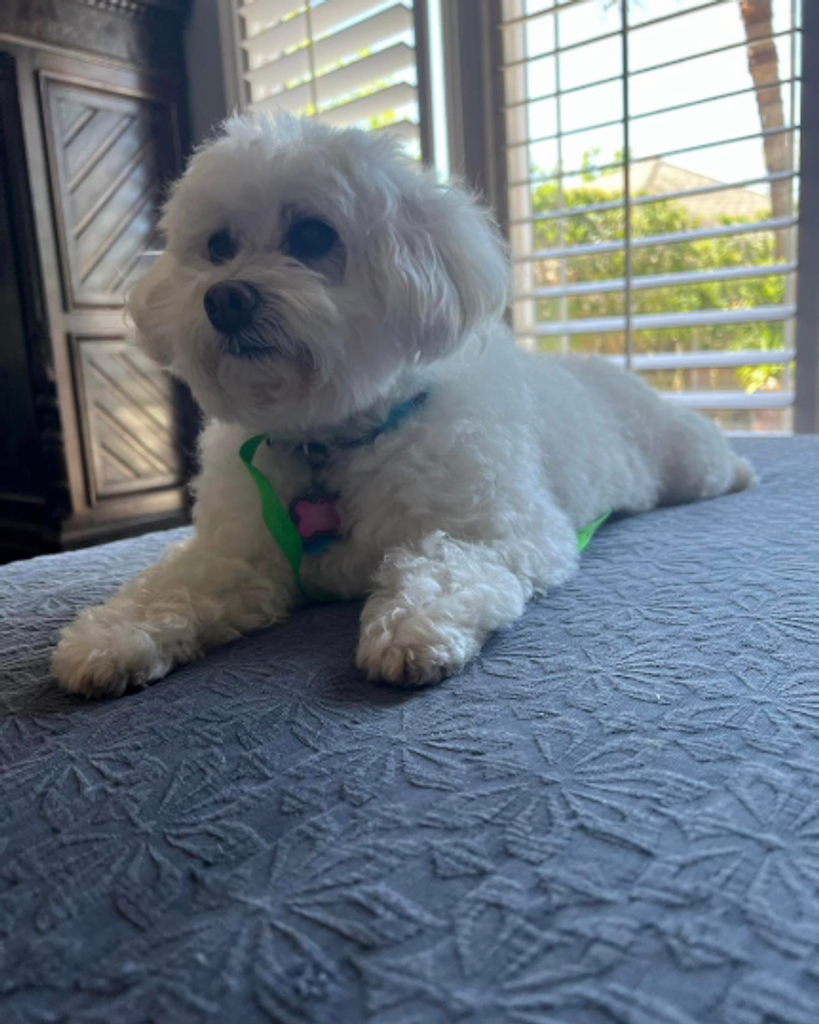 STEWIE Profile Photo