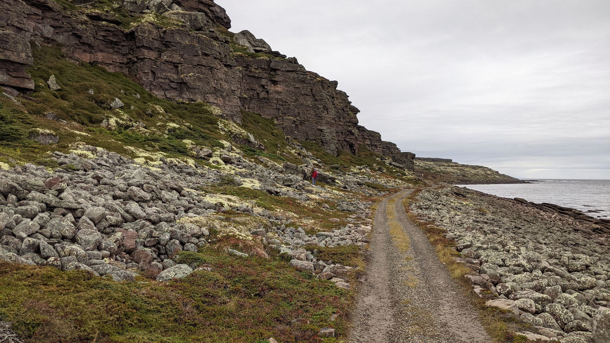 Cover for William Clifton Dumaresq's Obituary