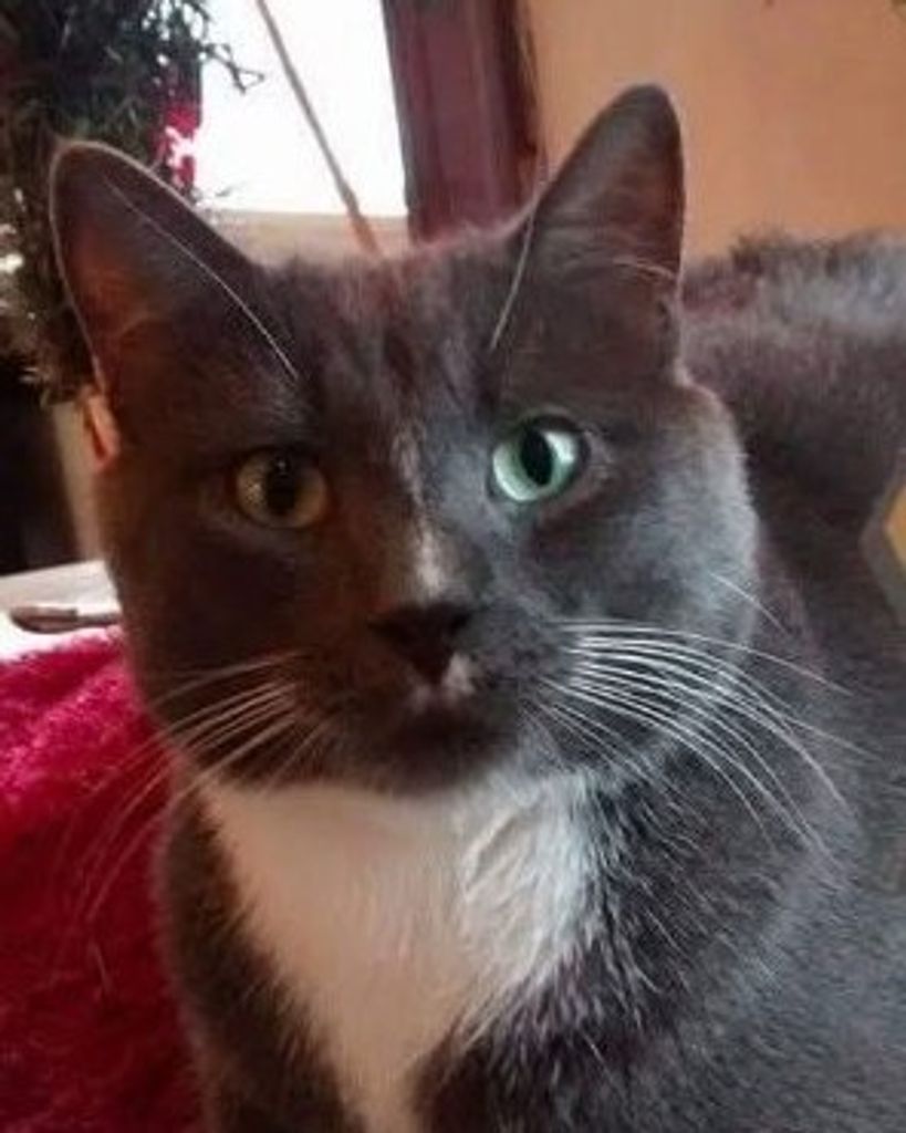 Waskadoo Munhall Profile Photo