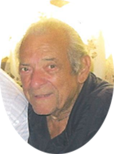 Nicholas Petrini Profile Photo
