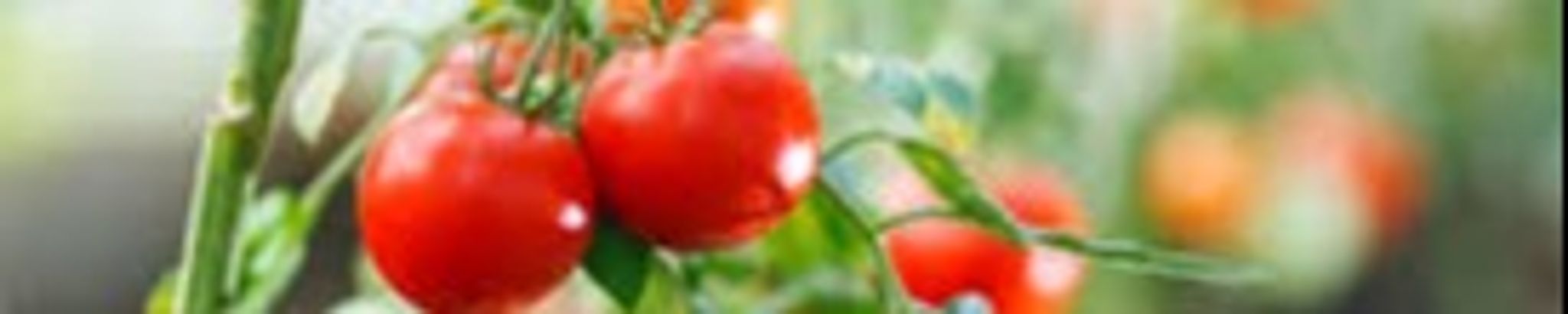 Cover for Jimmy Allen Miller's Obituary