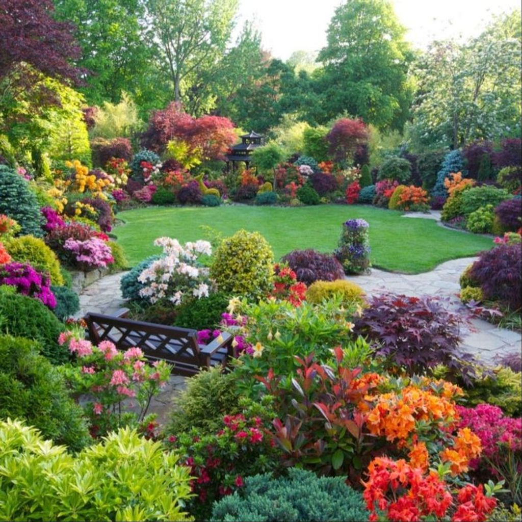 Suzanne Lynn Wenger Profile Photo