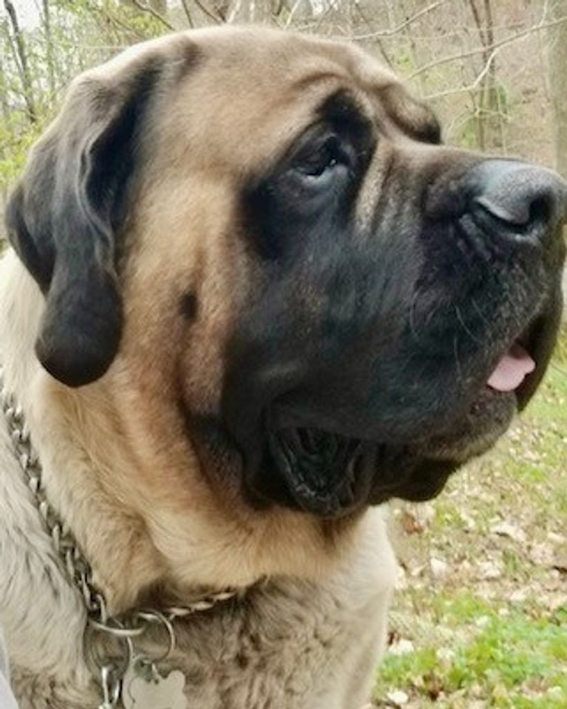 Rocky Arnold Profile Photo