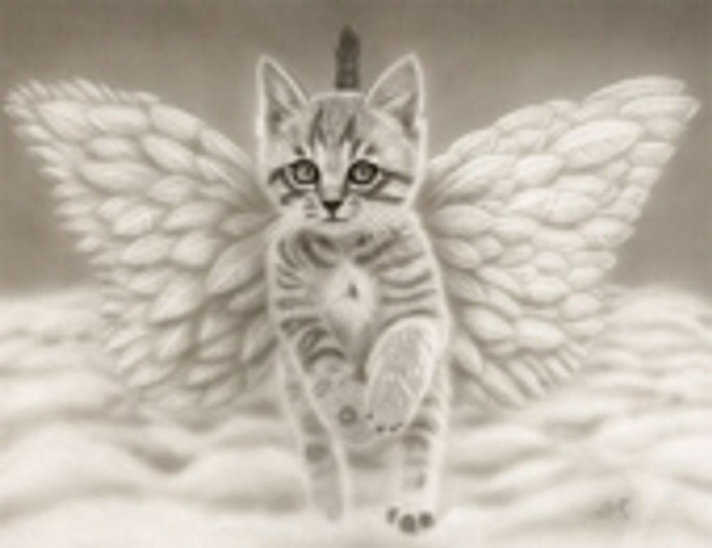 Gray C Klann Profile Photo