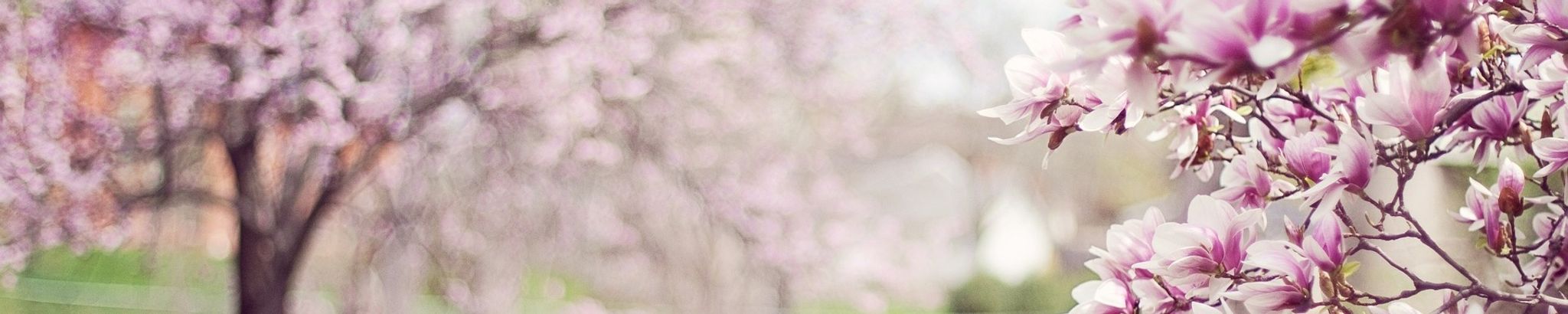 Cover photo for Bertha "Betty" Olivia Ladner's Obituary