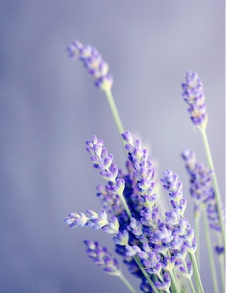 Barbara Ann (Rooker) Baron