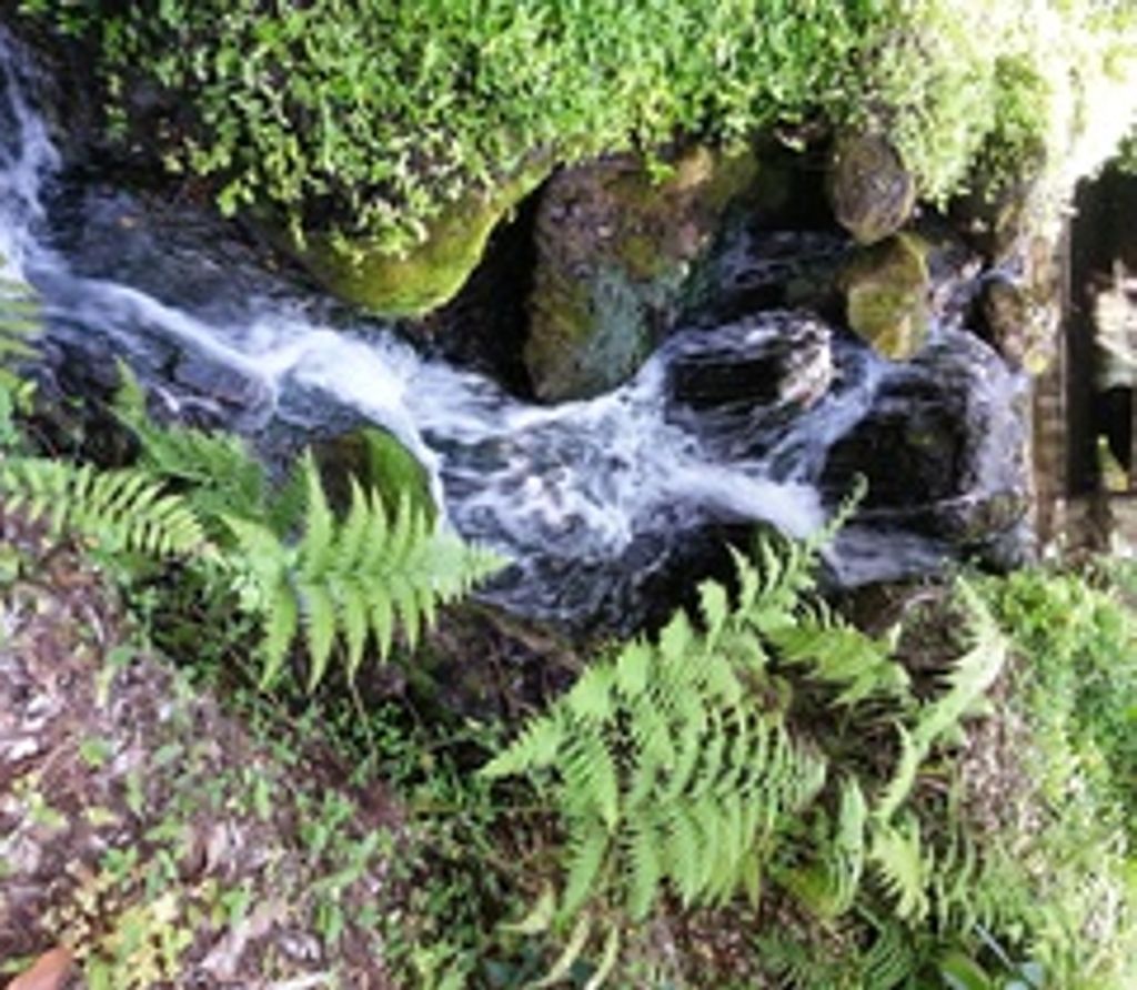 Joseph Walter Berryhill