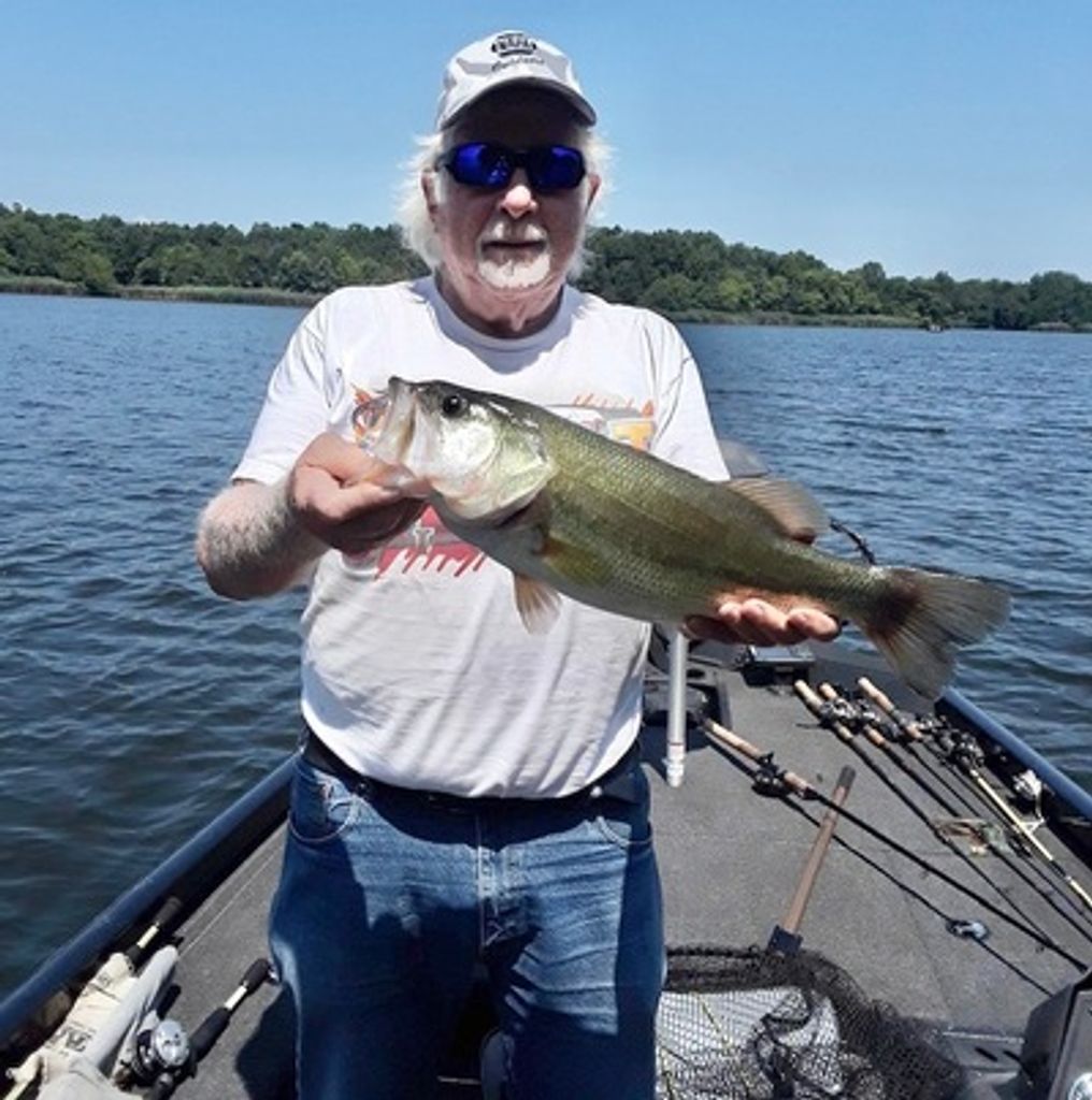 Dale E. Nelson Profile Photo