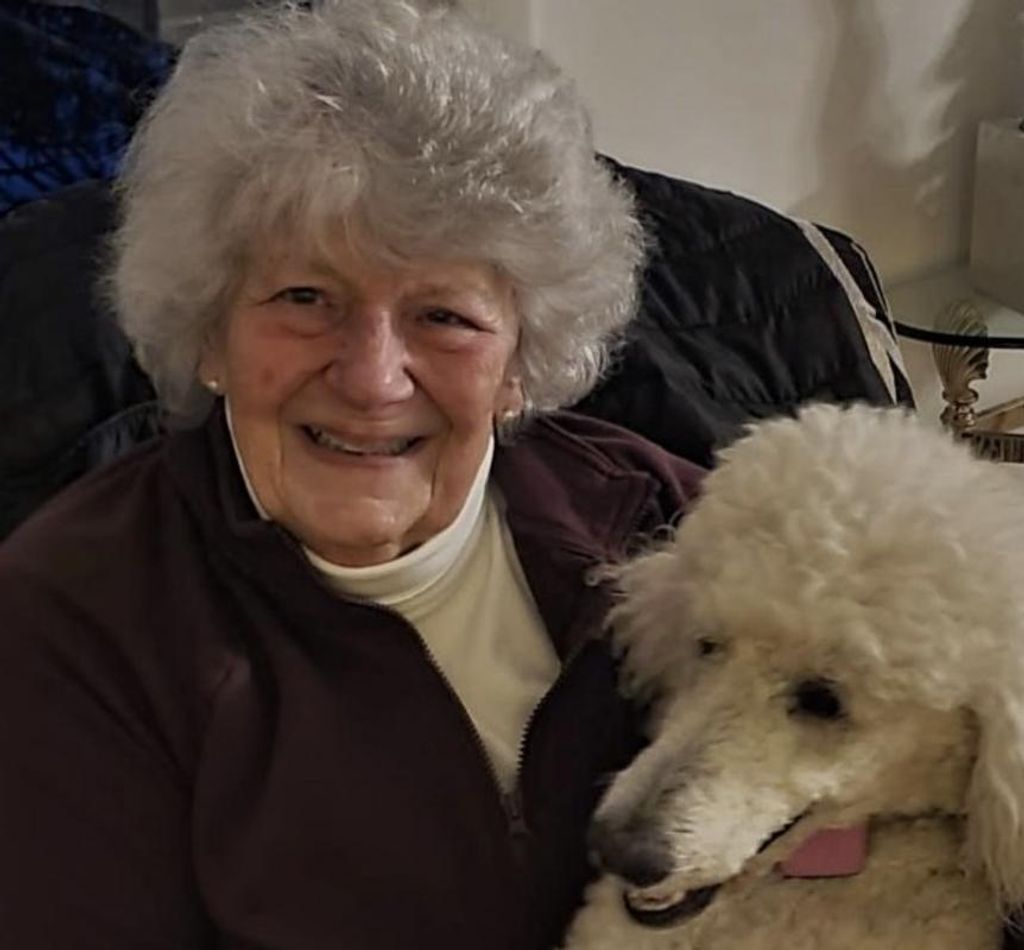 Sylvia (Gheno) Sullivan Profile Photo