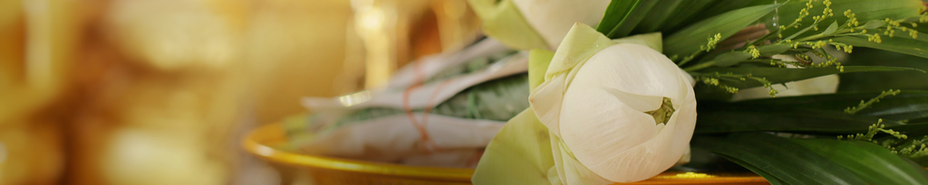 Cover photo for Faye Collins's Obituary