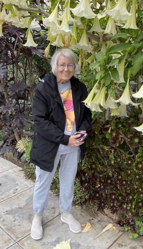 Sharon Ybarra Profile Photo