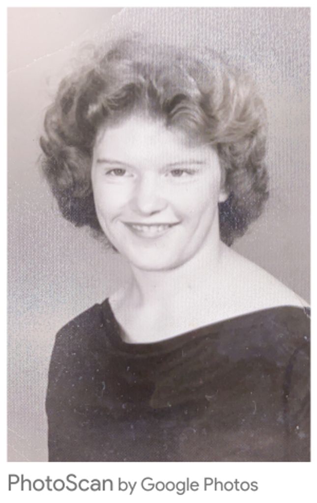 Linda Lee (Hammett)  Dillon Profile Photo