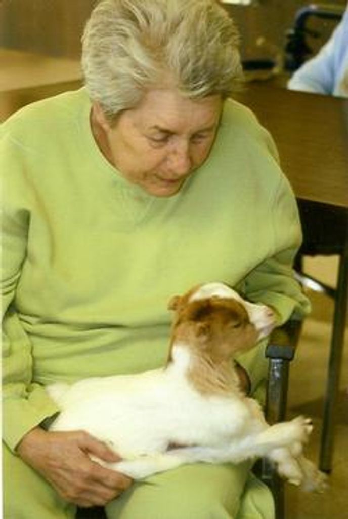 Patricia Anne Spengler
