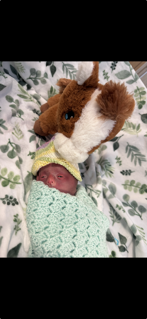 Caden Todd Faulkner Profile Photo
