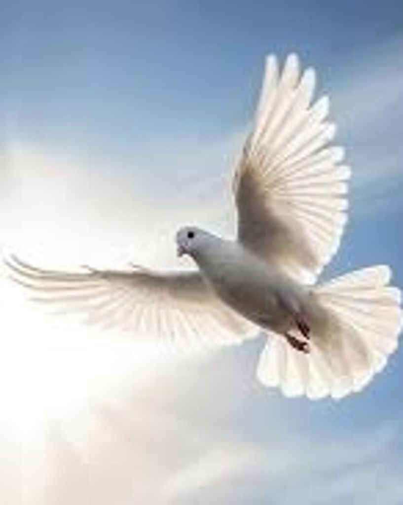 Perry Clegg III Profile Photo