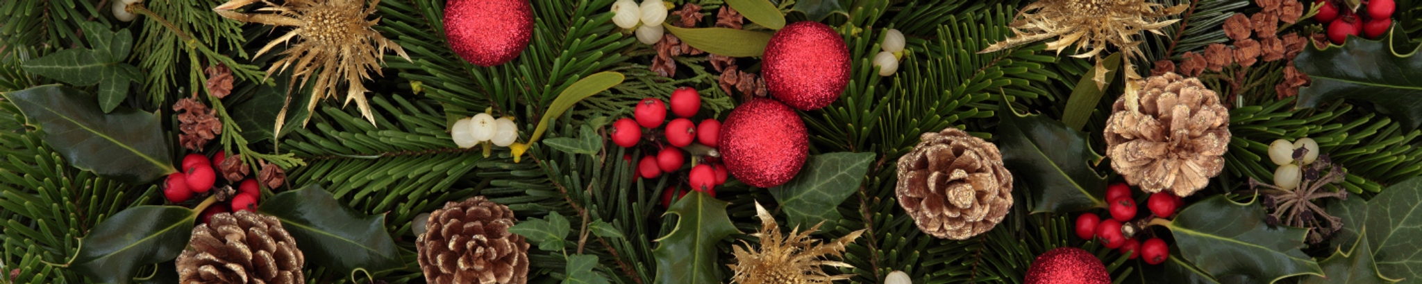 Cover photo for Ruth Timmreck's Obituary
