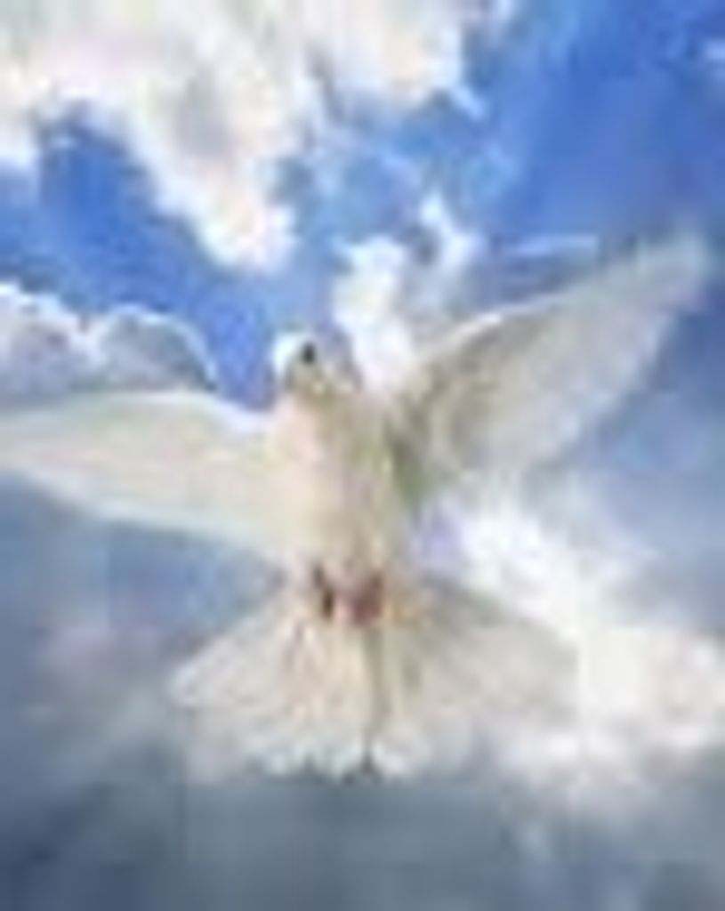 Bernard Ray Malveaux Profile Photo