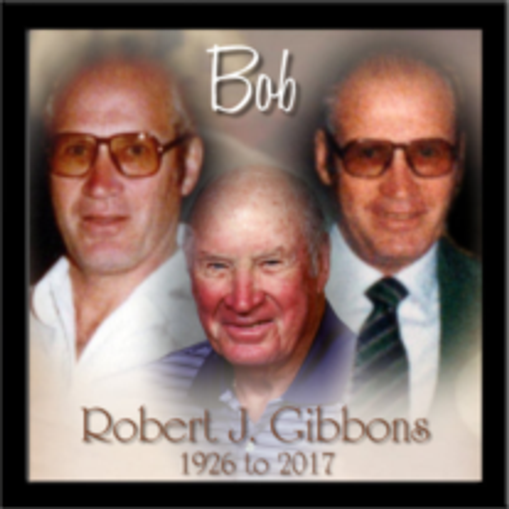 Robert J. Gibbons