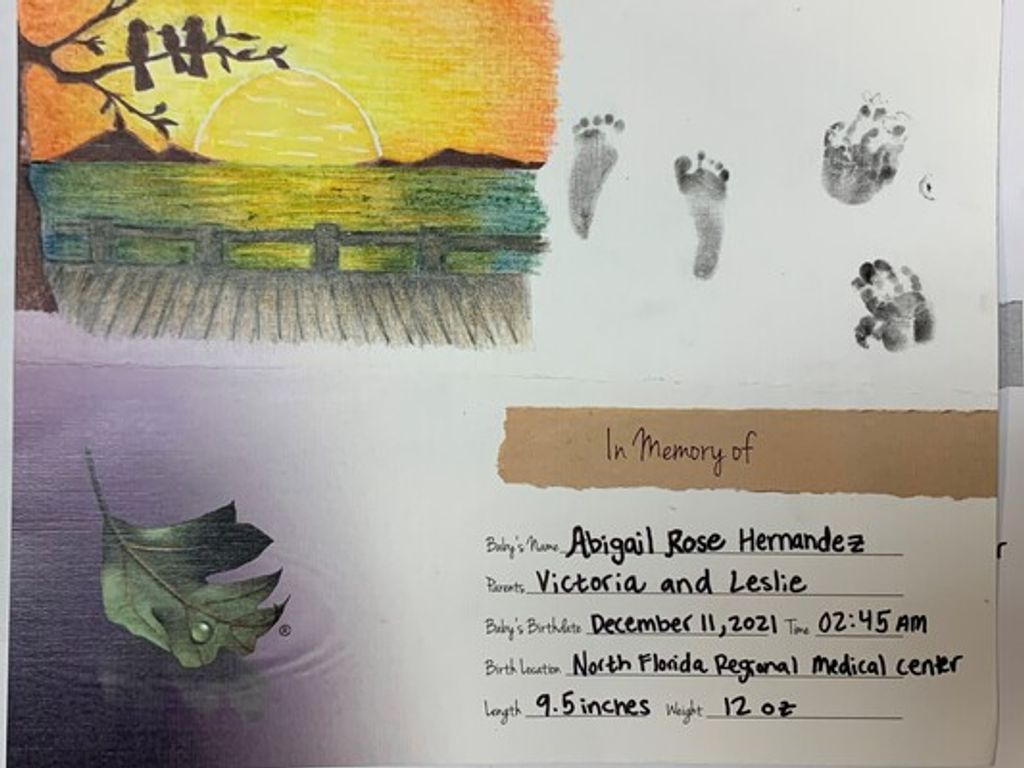 Abigail Rose Hernandez Profile Photo