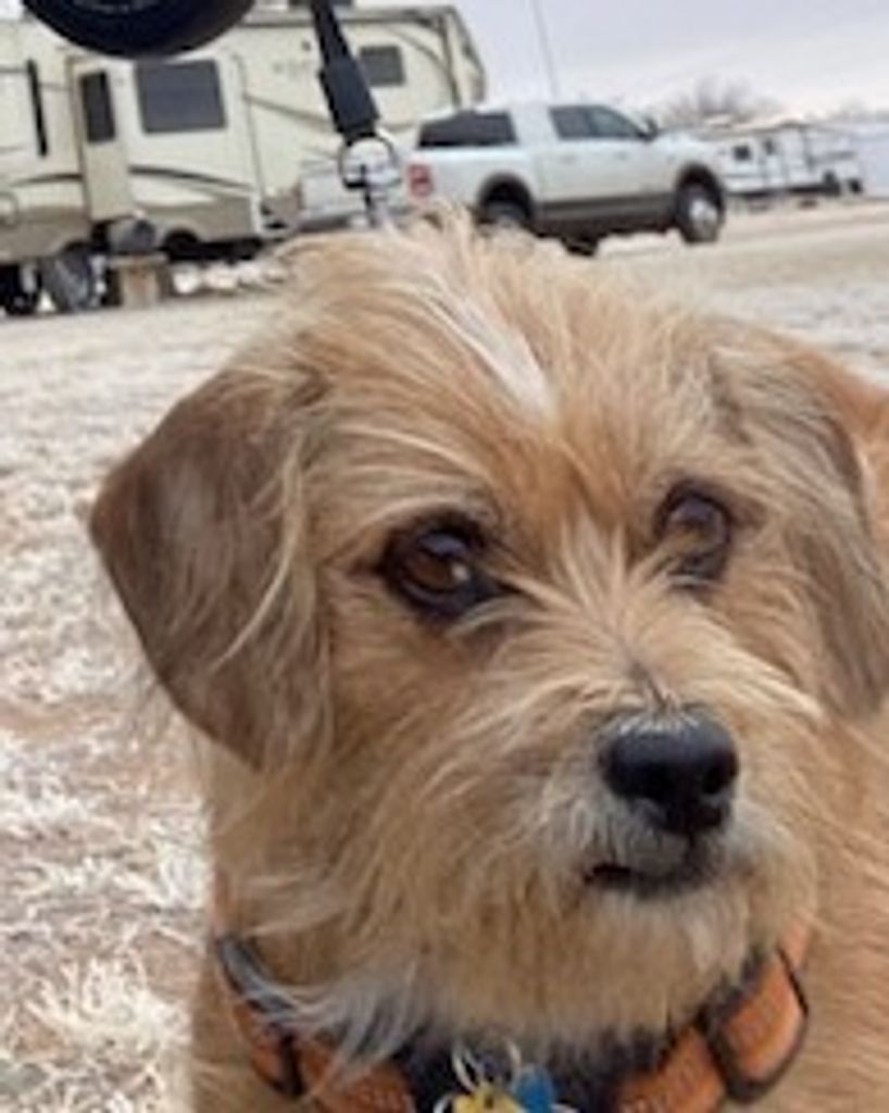 Rosco Bledsoe Profile Photo