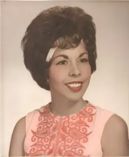 Ann Douglas Profile Photo