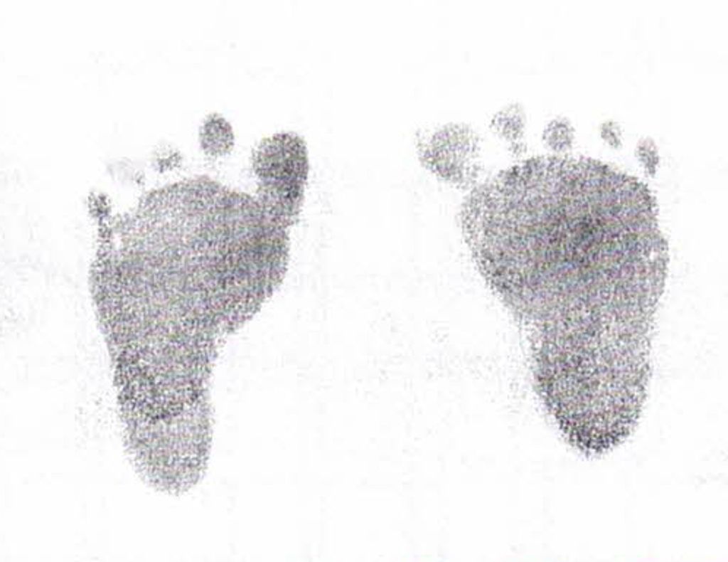 Aiden William Vining