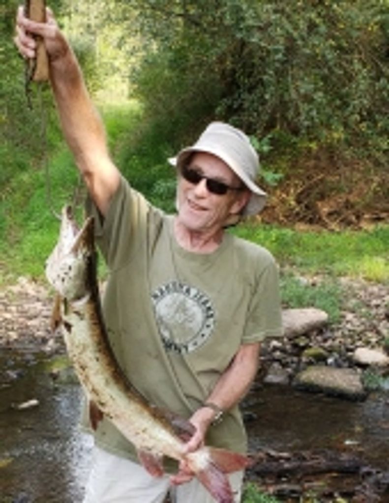 David  W. Waybright Profile Photo