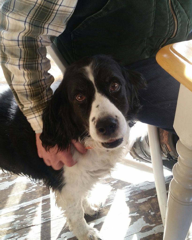 Sadie Farr Profile Photo