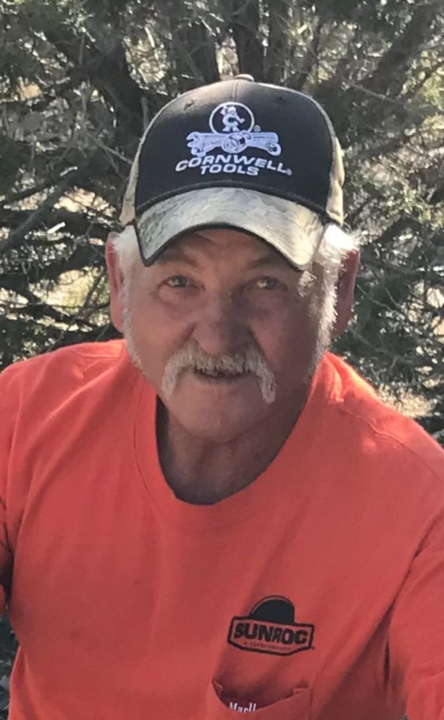 Terry Cook