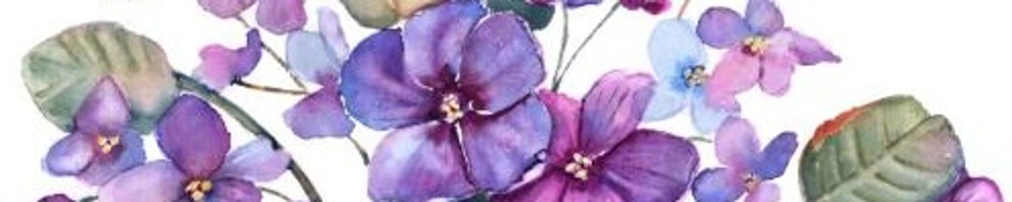 Cover photo for Donalda (Donna) Bancroft Ferguson's Obituary